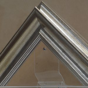 No16 Plata rubia vista seme perfil